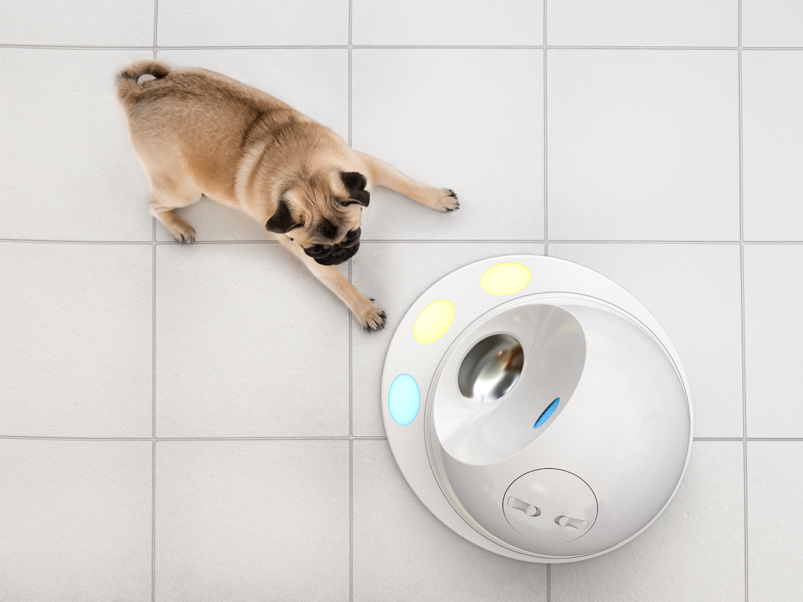 Clever Pet